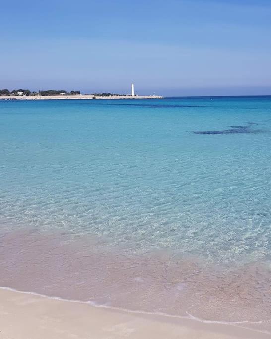 Appartamento Fiore Di Zagara 100Mt Dal Mare Σαν Βίτο λο Κάπο Εξωτερικό φωτογραφία